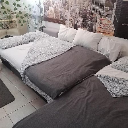 Low Cost Apartment 贝尔格莱德 外观 照片