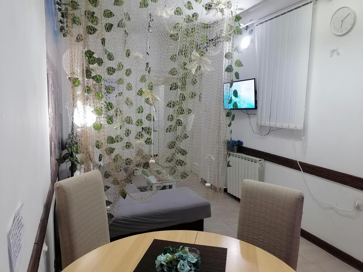 Low Cost Apartment 贝尔格莱德 外观 照片