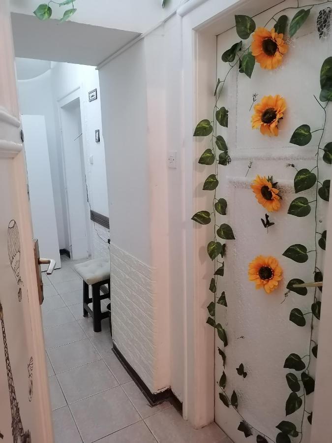 Low Cost Apartment 贝尔格莱德 外观 照片