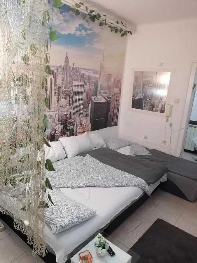 Low Cost Apartment 贝尔格莱德 外观 照片