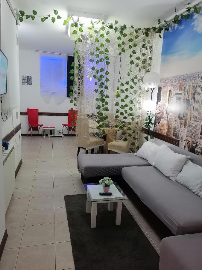 Low Cost Apartment 贝尔格莱德 外观 照片