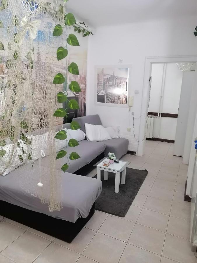 Low Cost Apartment 贝尔格莱德 外观 照片